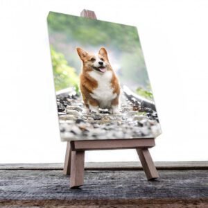 Cuadro Decorativo de Perro Feliz #508