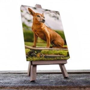 Cuadro Decorativo de Perro Chihuahua #509