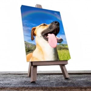 Cuadro Decorativo de Perro Feliz con la Lengua de Fuera #510