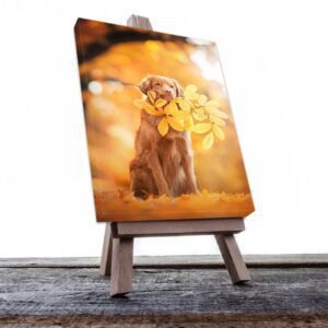 Cuadro Decorativo de Perro Golden  #512