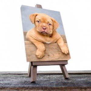 Cuadro Decorativo de Perro Dogo #515