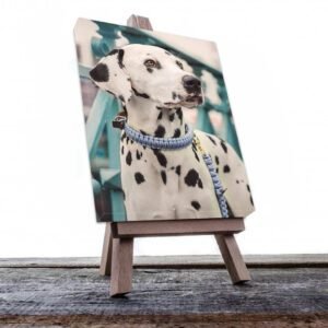 Cuadro Decorativo de Perro Dálmata #516