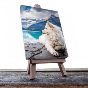 Cuadro Decorativo de Perro Samoyedo #518