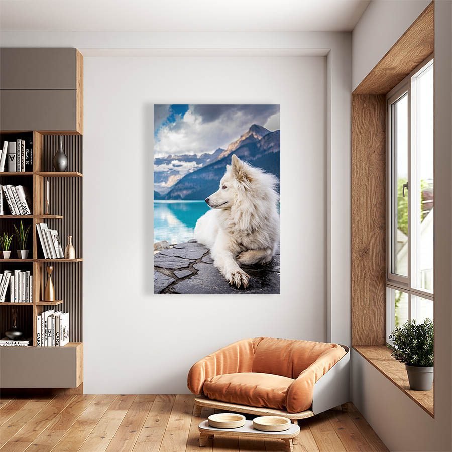 Cuadro Decorativo de Perro Samoyedo #518 - Imagen 2