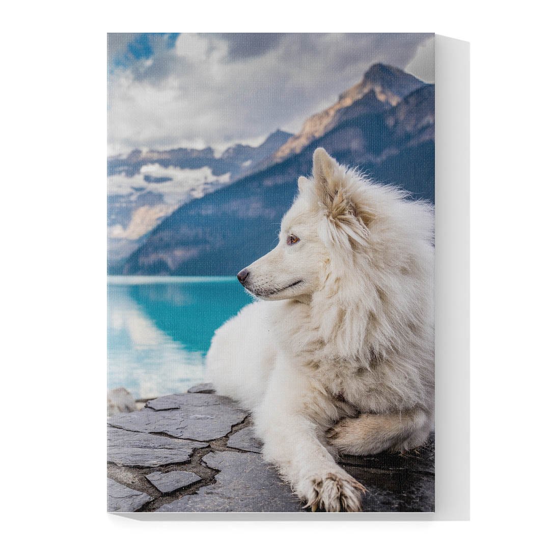 Cuadro Decorativo de Perro Samoyedo #518 - Imagen 4