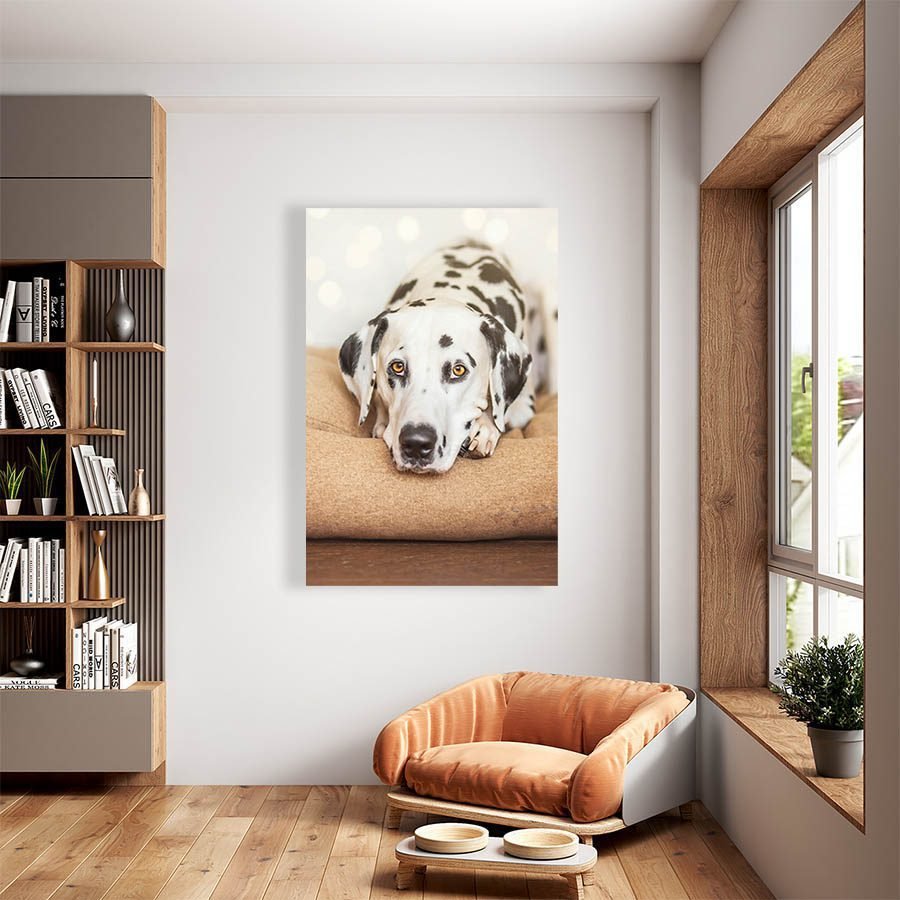 Cuadro Decorativo de Perro Dálmata #519 - Imagen 2