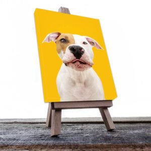Cuadro Decorativo de Perro Pit Bull #522