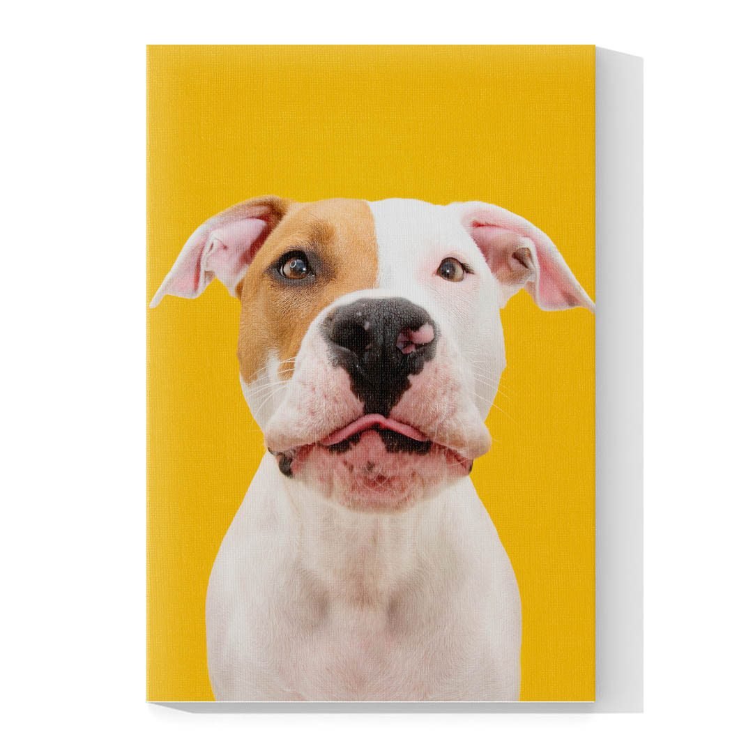 Cuadro Decorativo de Perro Pit Bull #522 - Imagen 4