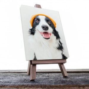 Cuadro Decorativo de Perro Border Collie #523