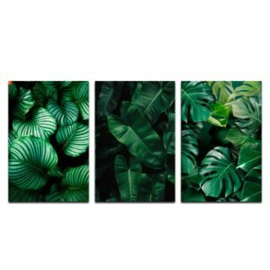 Set de 3 Cuadros Decorativos Hojas Verdes.